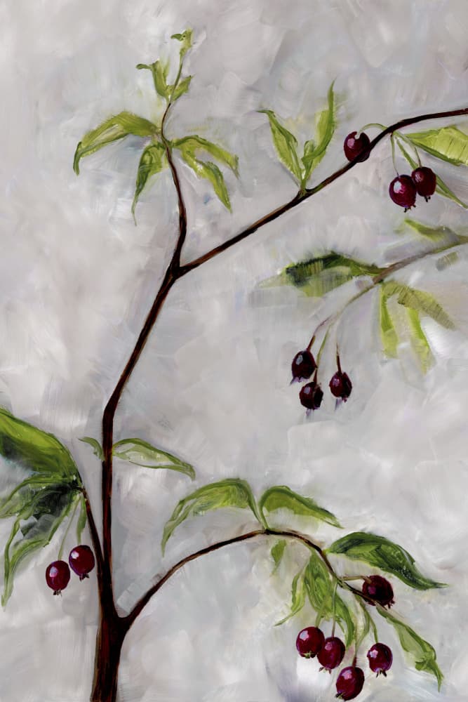Crimson Berry Branch by Rosana Laiz Blursbyai — canvas wall art