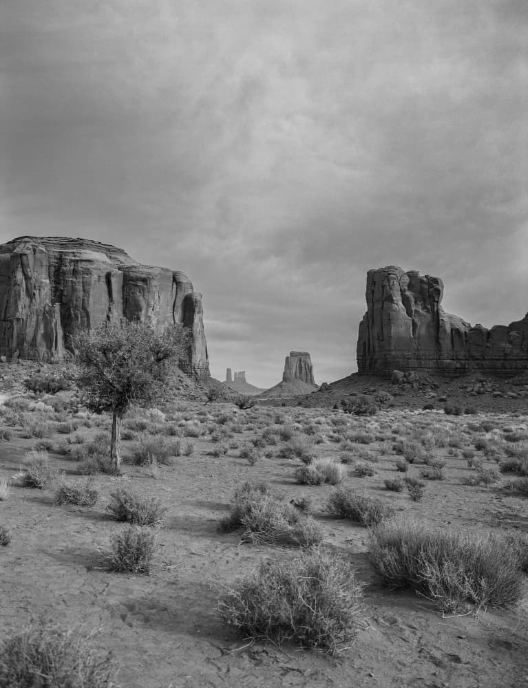 Iconic Desert Vista by Bethany Young — canvas wall art