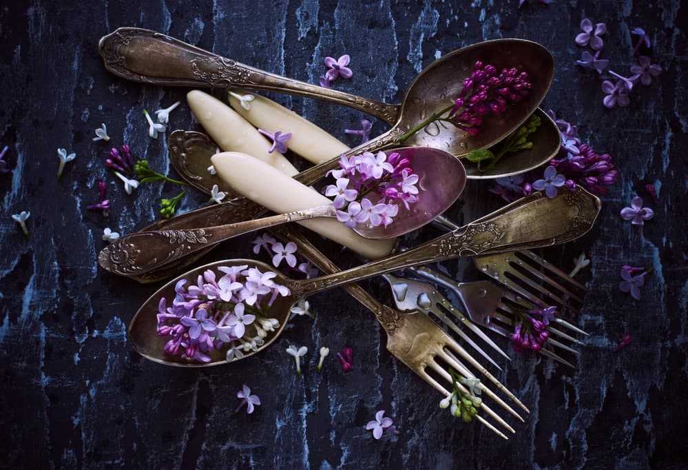 Moody Lilac Cutlery by Karina Aleksandrova — canvas wall art