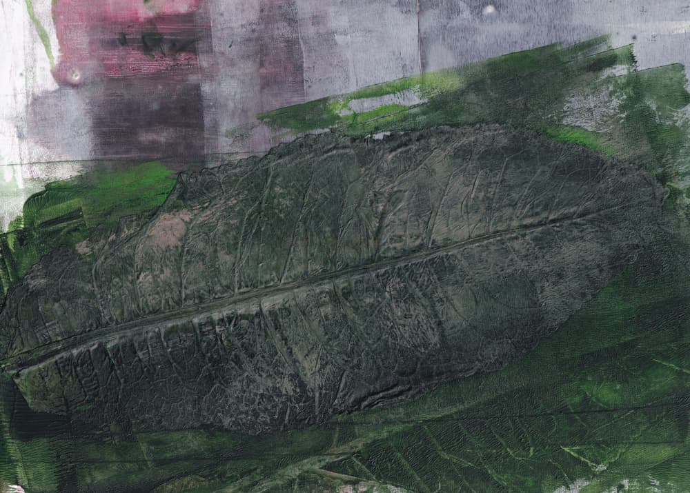 Dark Green Leaf Impression by Maira Ribena — canvas wall art