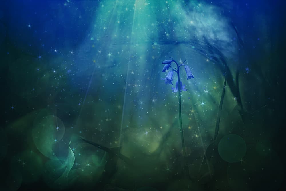 Enchanted Bluebell Glow by Jan van der Linden — canvas wall art