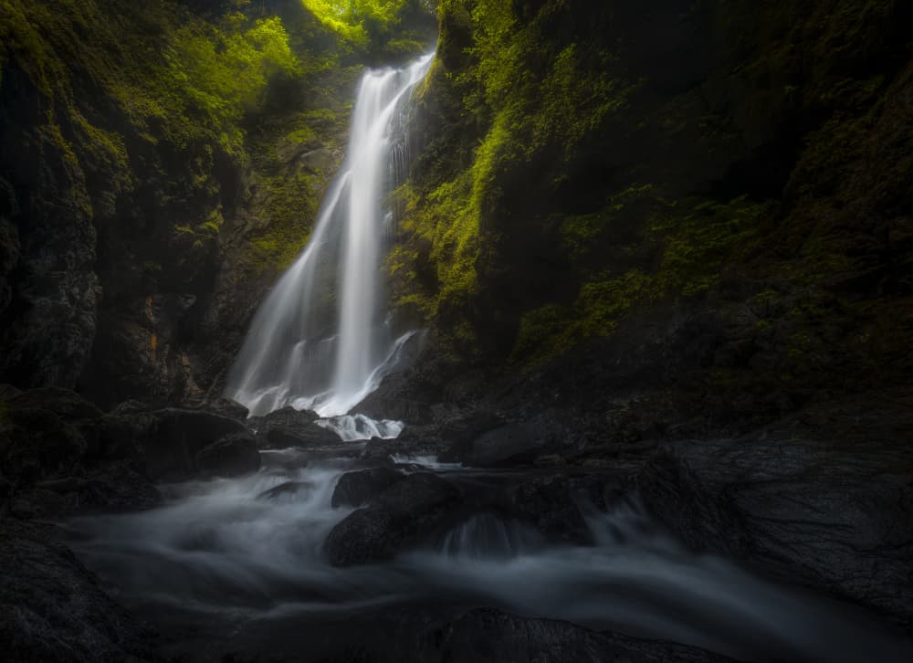 Lush Green Waterfall by Yezimao — canvas wall art