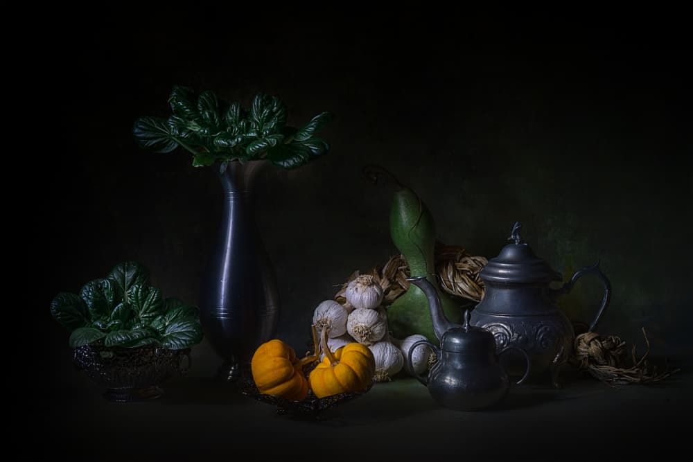 Dark Harvest Still Life by Lydia Jacobs — canvas wall art