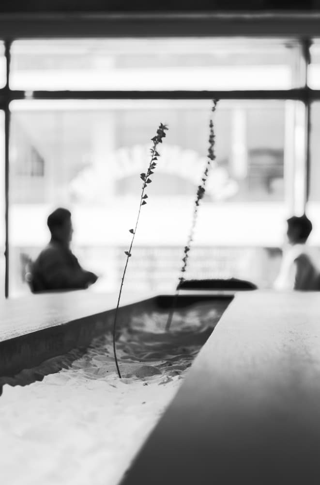 Cafe Window Plants by Swen MUN — canvas wall art
