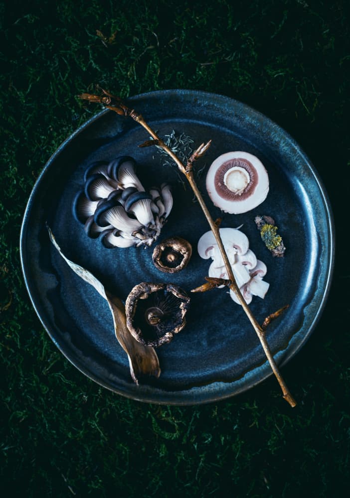 Dark Forest Mushrooms by Karina Aleksandrova — canvas wall art