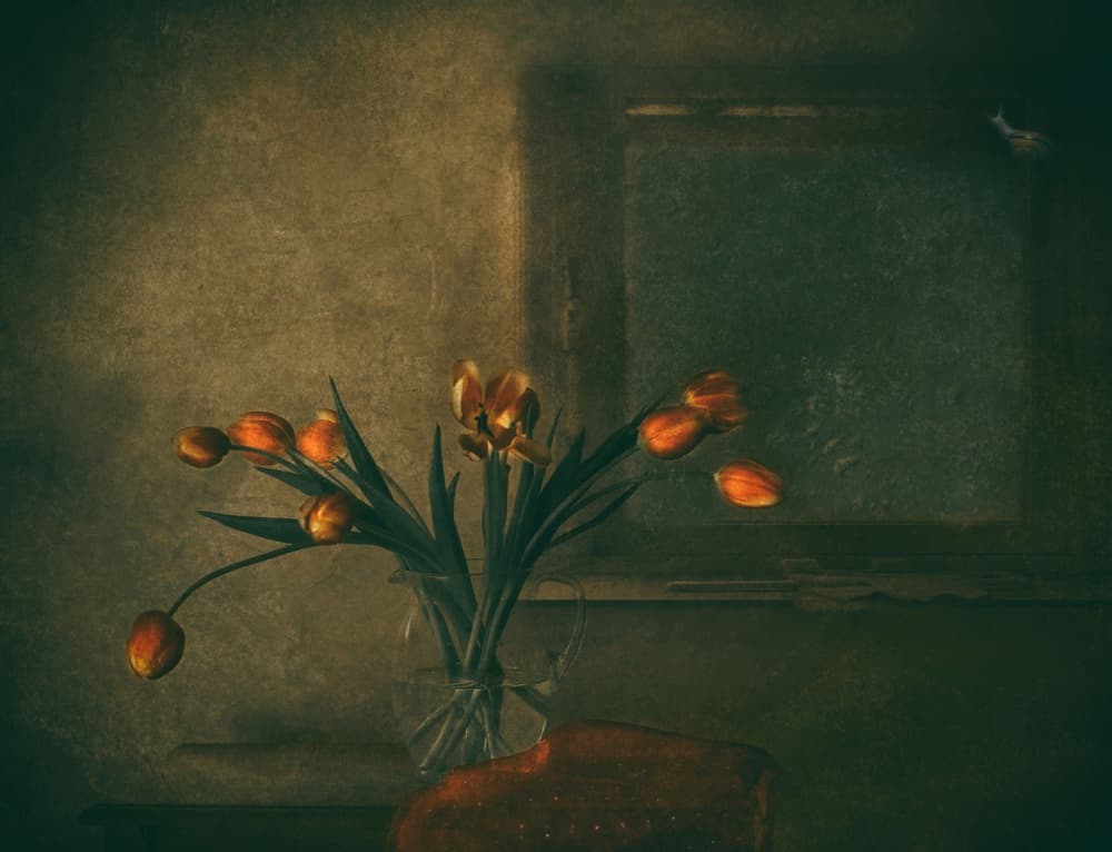 Moody Orange Tulips by Delphine Devos — canvas wall art