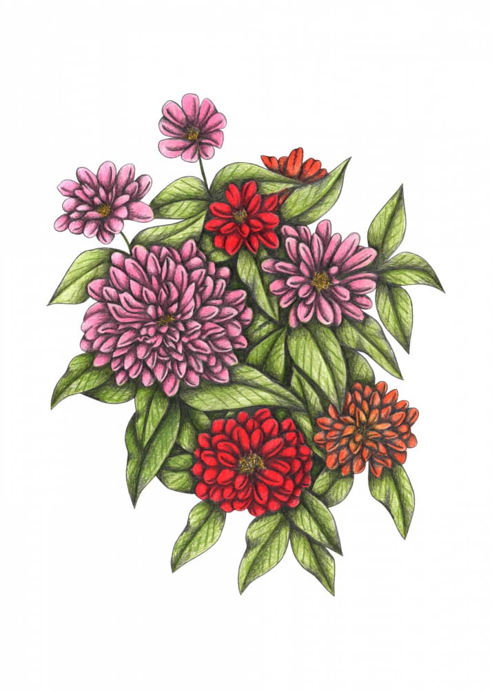 Colorful Floral Bouquet by Cecilia Battaini — canvas wall art