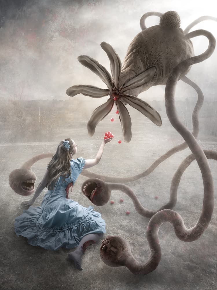 Macabre Wonderland by Christophe Kiciak — canvas wall art