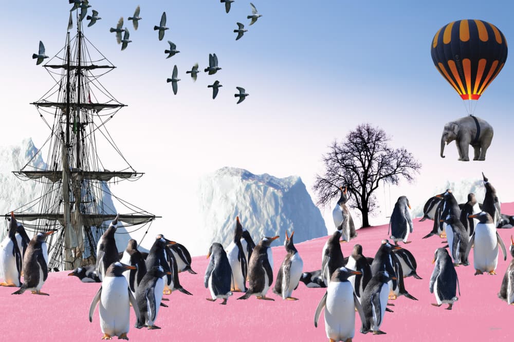 Surreal Arctic Adventure by Sue Skellern — canvas wall art