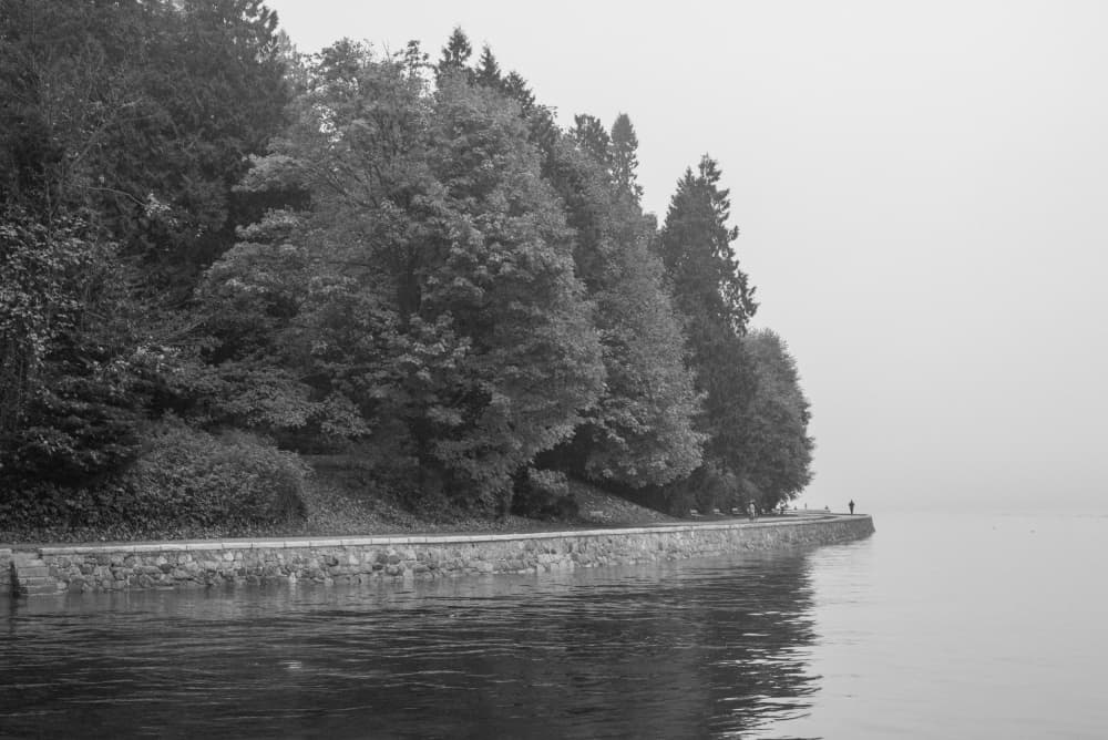 Misty Lakeside Path by Lynann Colligan — canvas wall art