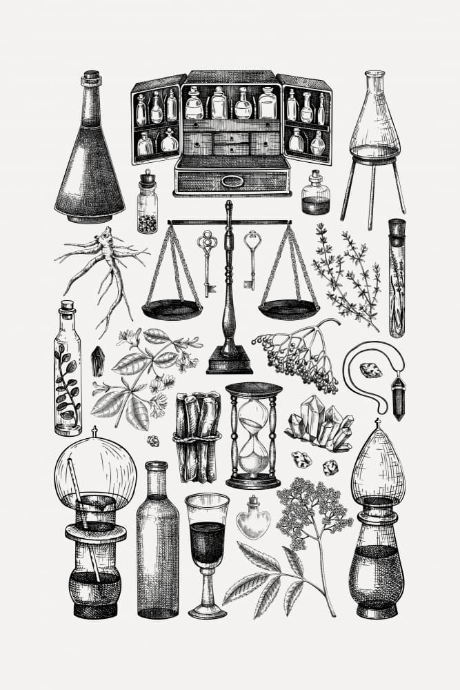 Alchemist's Botanical Collection by Yevheniia Lytvynovych — canvas wall art