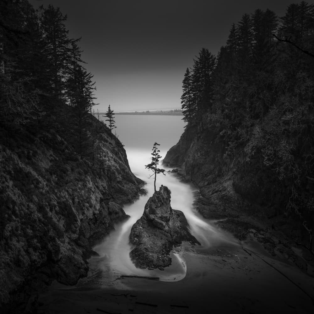Solitary Tree Cove by Tony Xu — canvas wall art