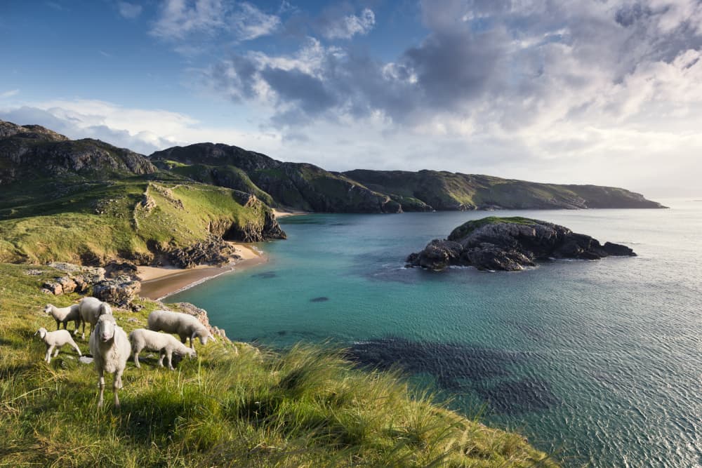 Irish Coast by Stefan Hefele — canvas wall art