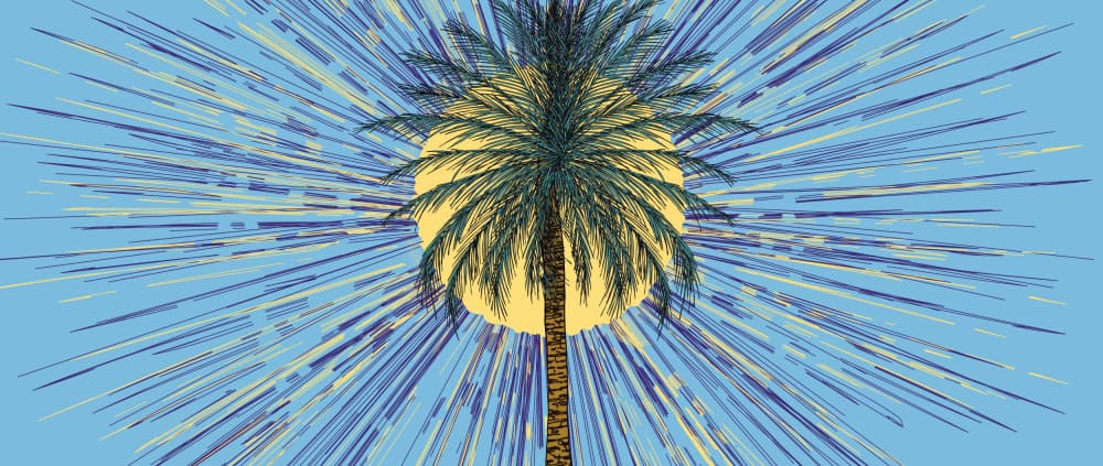 Vibrant Palm Sunburst by Nicholas — canvas wall art