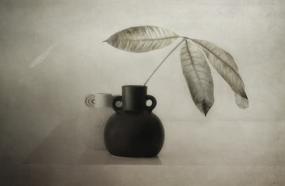 Serene Botanical Still Life by Elena Arjona — canvas wall art