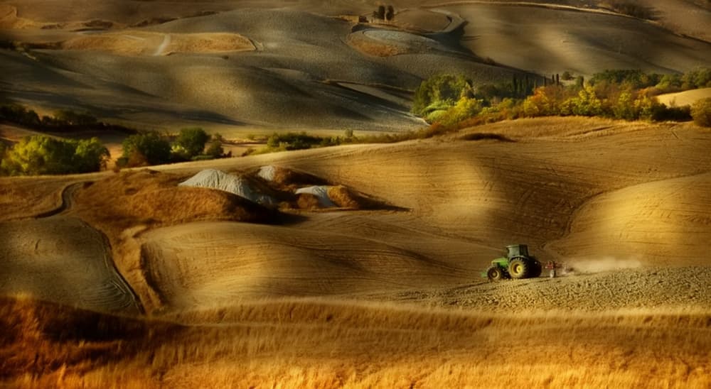 Tractor in Golden Fields by Antonio Grambone — canvas wall art