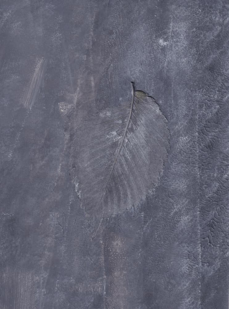 Dark Leaf Impression by Maira Ribena — canvas wall art