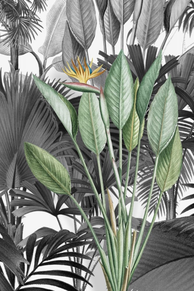 Bird of Paradise Pop by Marja van den Hurk — canvas wall art