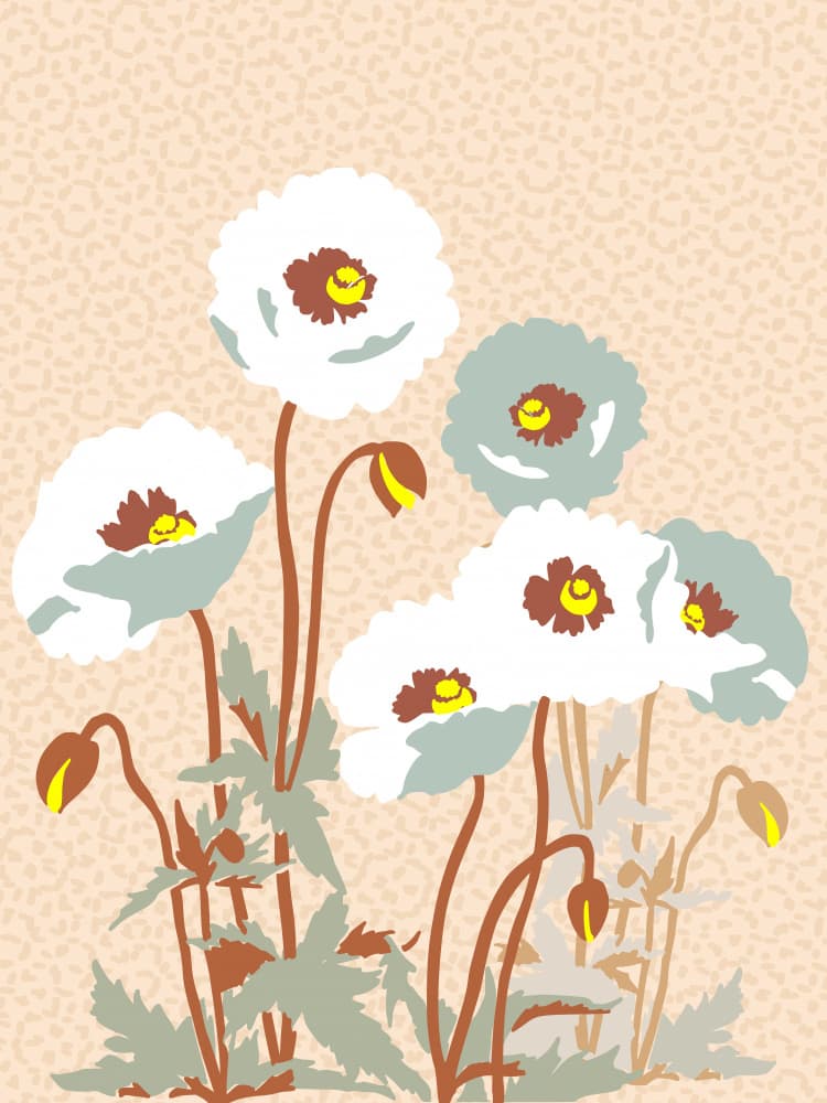 Soft Poppies Bloom by Annick — canvas wall art