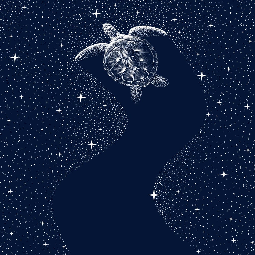 Cosmic Sea Turtle by Alirıza ÇAKIR — canvas wall art