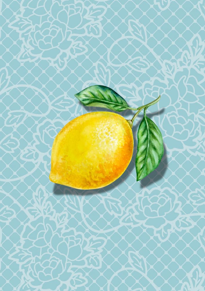 Fresh Lemon and Lace by Marianne Bassil — canvas wall art