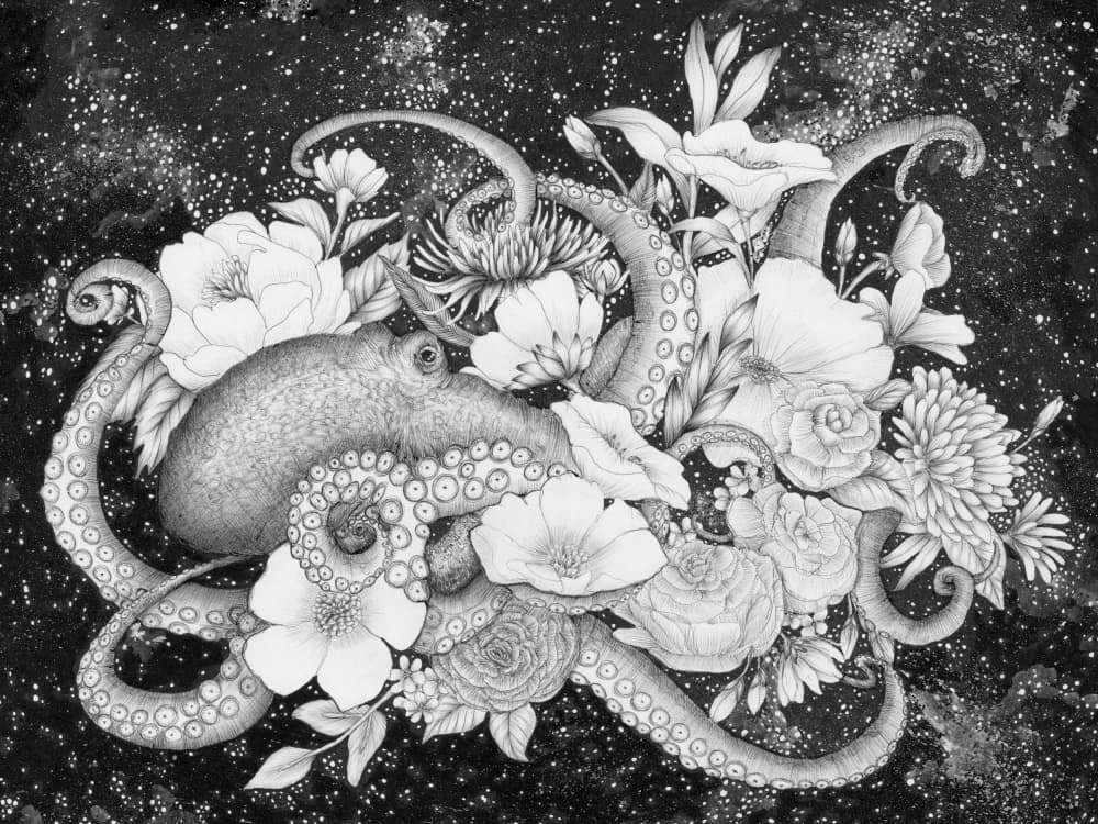 Celestial Octopus Blooms by EC Mazur — canvas wall art