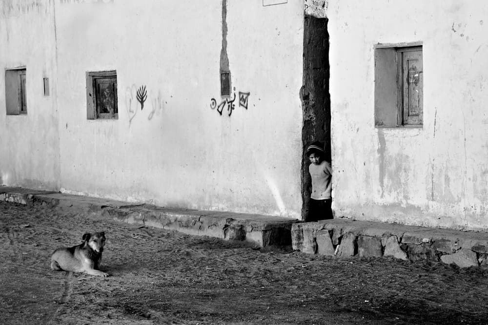 Child Peeking Street Dog by txules — canvas wall art