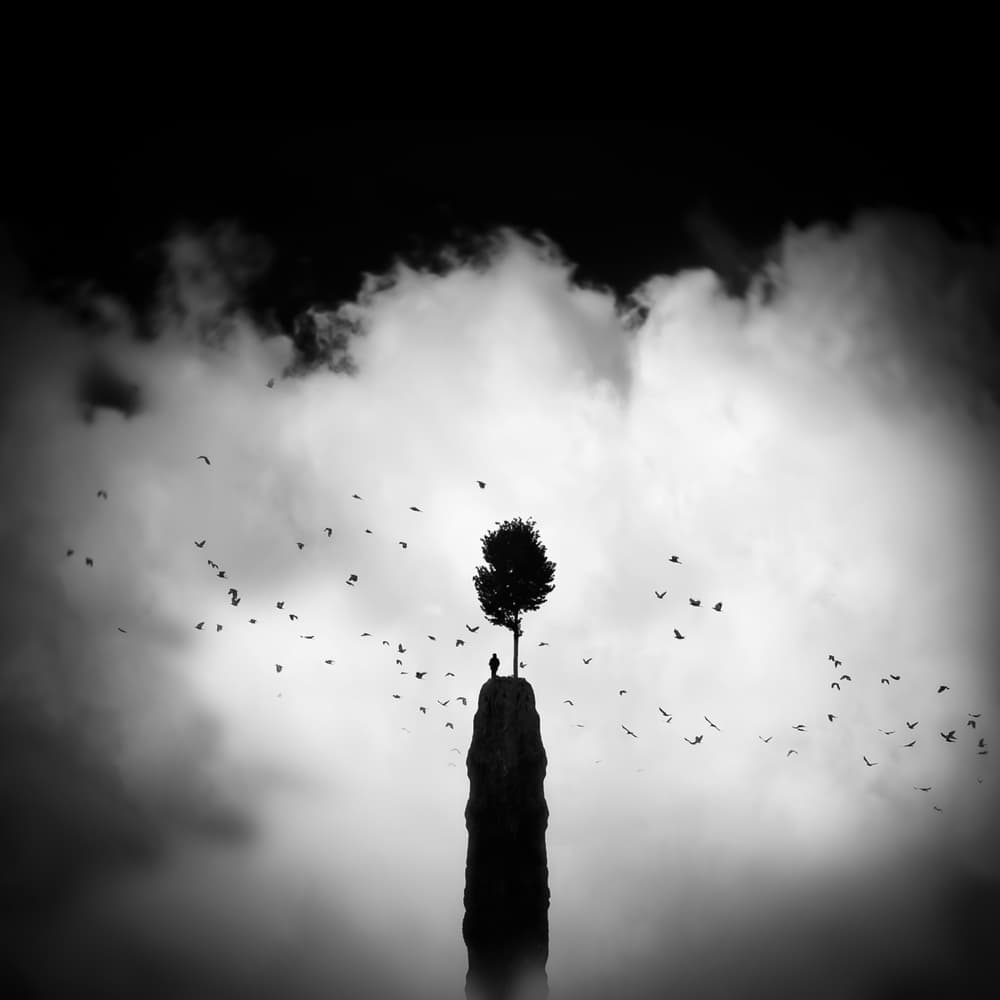 Solitary Tree Rock by Nic Keller — canvas wall art