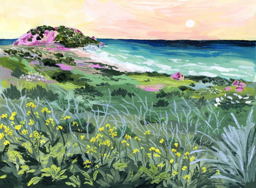 Wild Coast Sunset by Sarah Gesek — canvas wall art