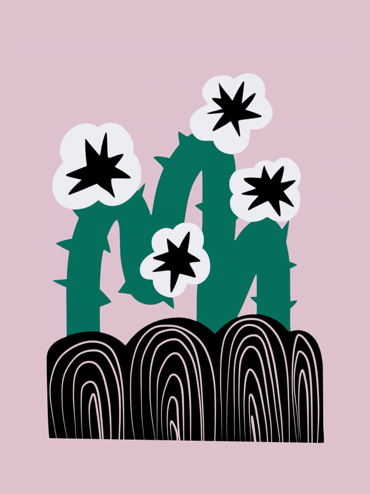 Modern Cactus Blooms by Little Dean — canvas wall art