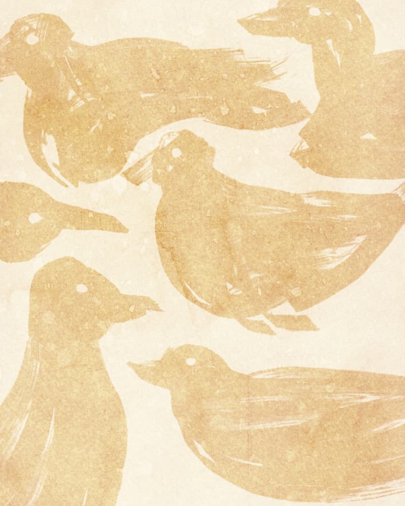 Rustic Duck Sketches by Josie George — canvas wall art