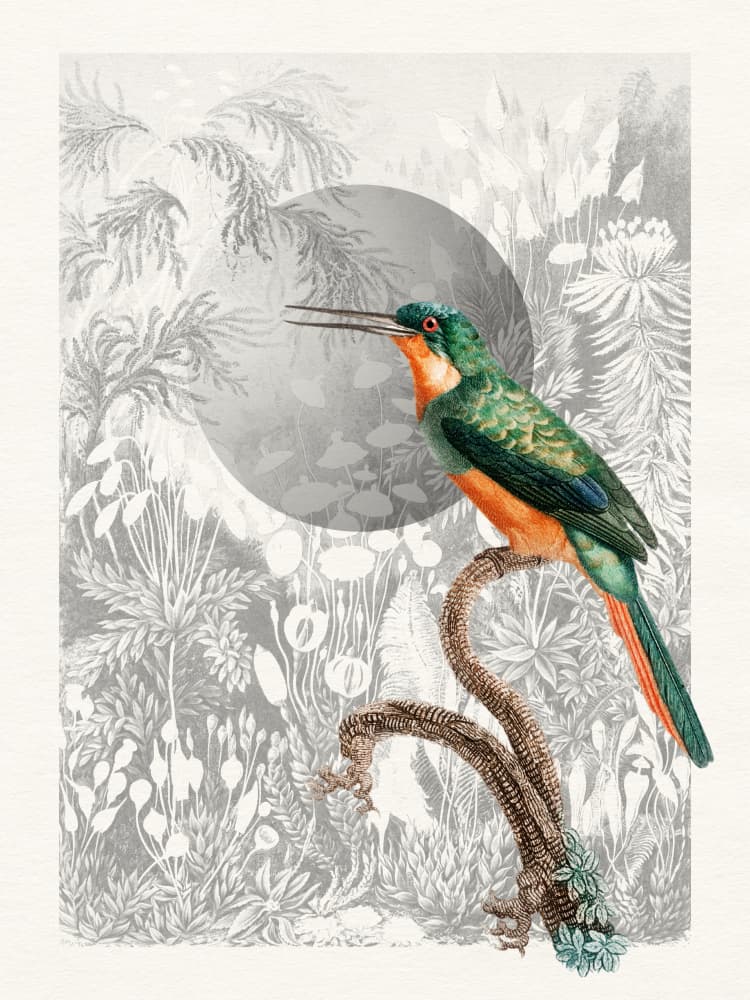 Tropical Green Jacamar by Wild Violets — canvas wall art