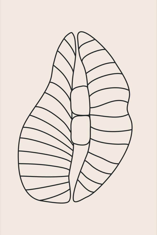Organic Minimal Form by jay stanley — canvas wall art