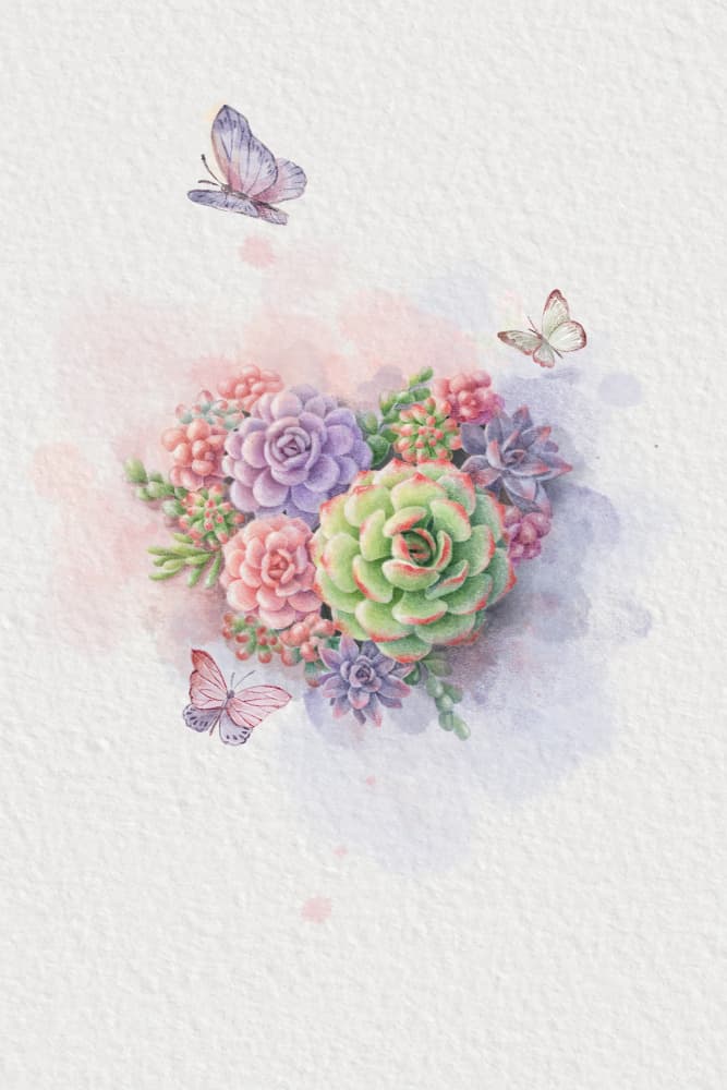 Pastel Succulent Butterflies by Xuan Thai — canvas wall art