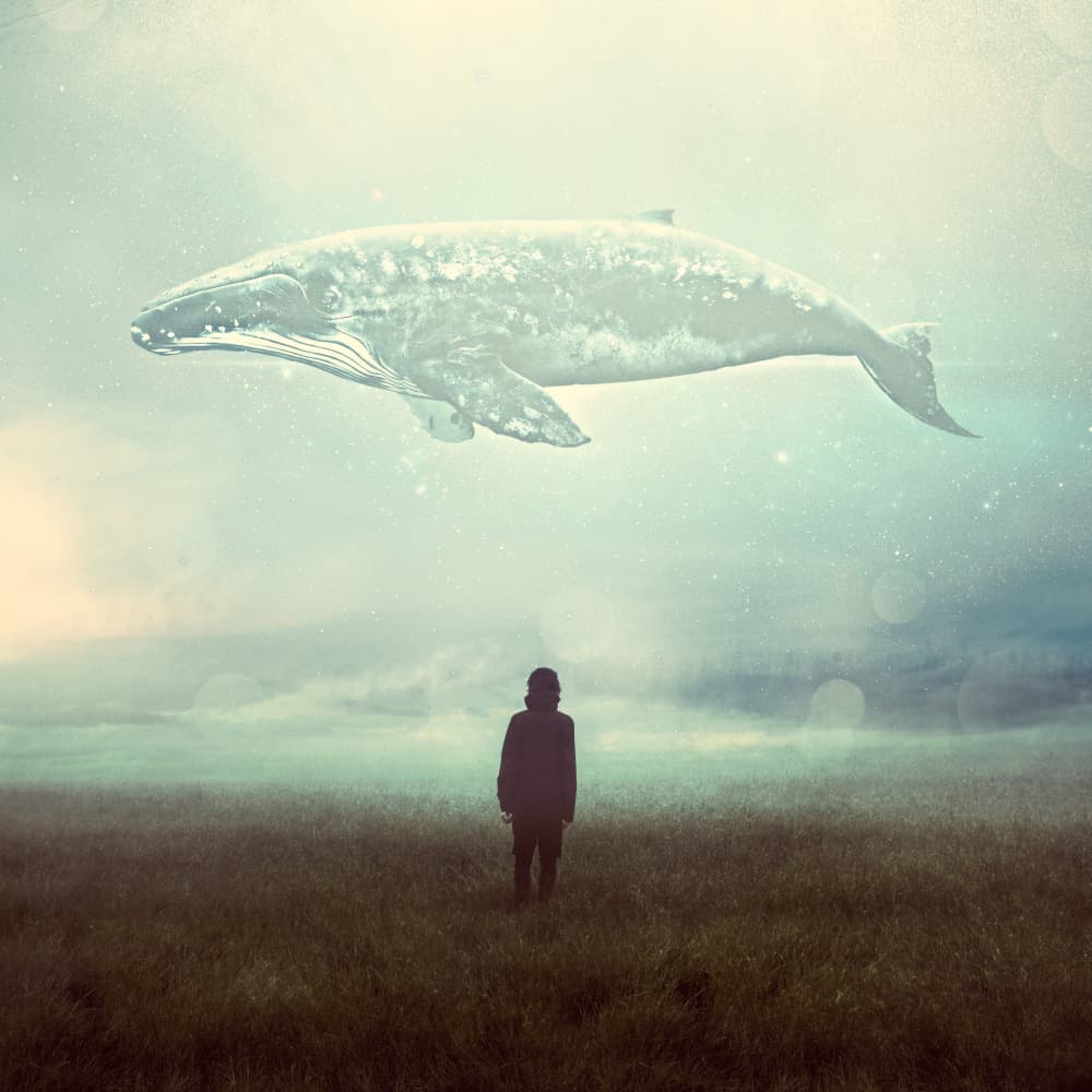 Dream Whale Sky by Marja van den Hurk — canvas wall art