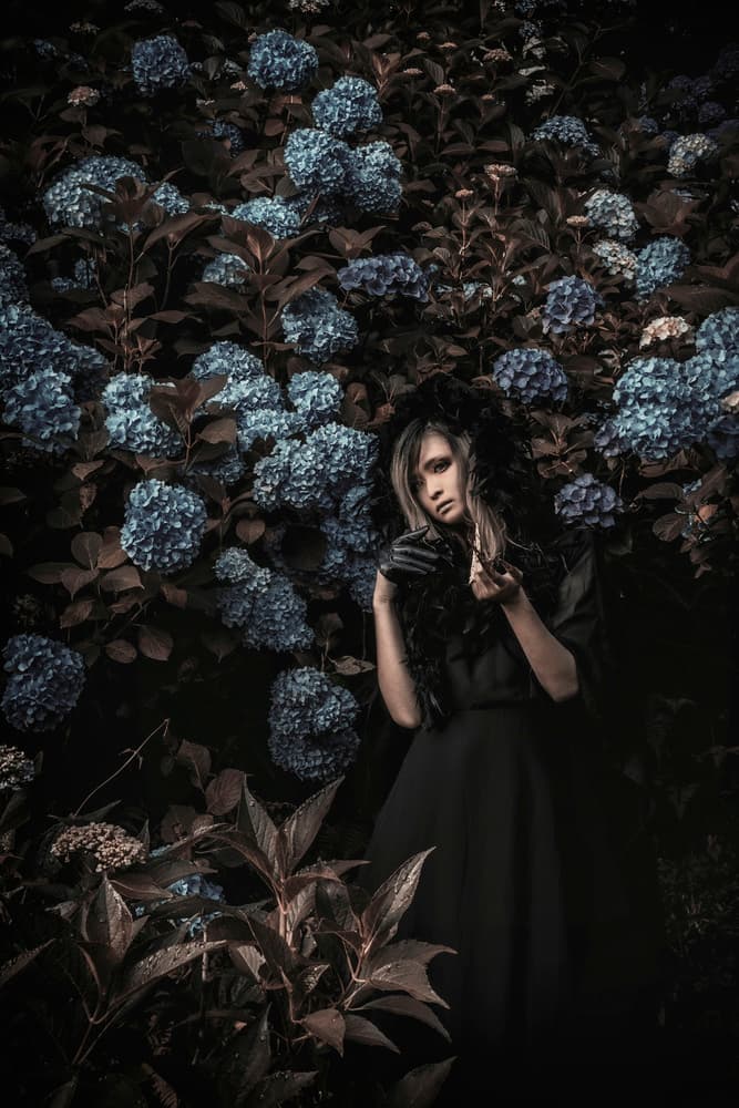 Mysterious Woman Dark Hydrangeas by KOIKI — canvas wall art