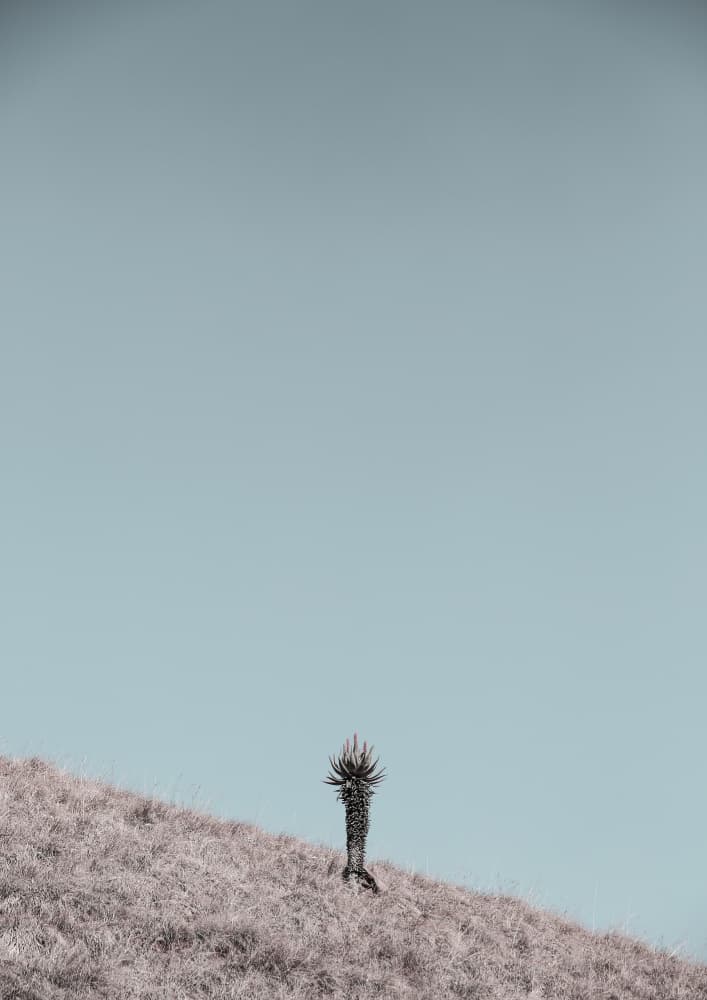 Minimalist Artwork by Shot by Clint — canvas wall art