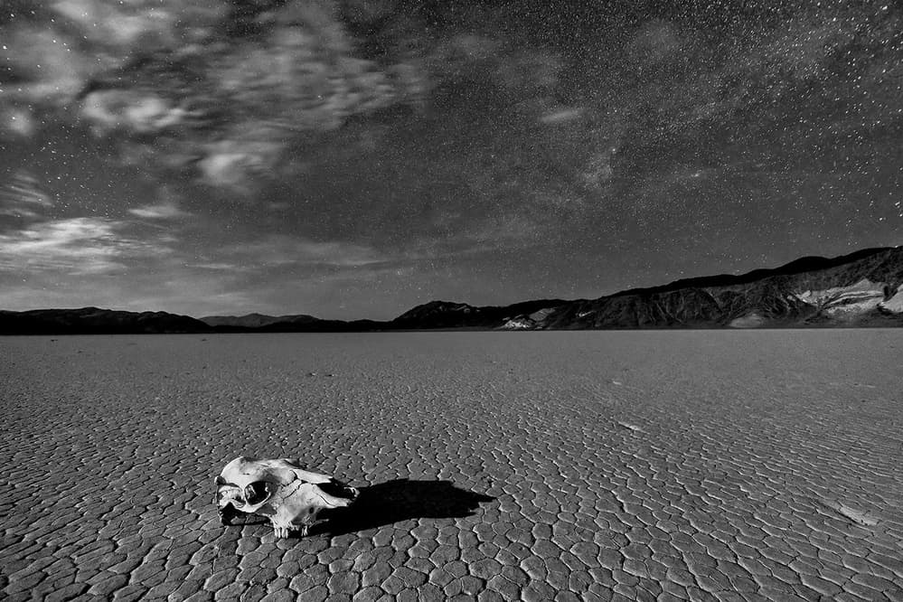 Desert Night Skull by Hua Zhu — canvas wall art