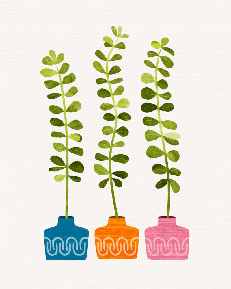 Sweet Sprouts 4x5 by Kristian Gallagher — canvas wall art