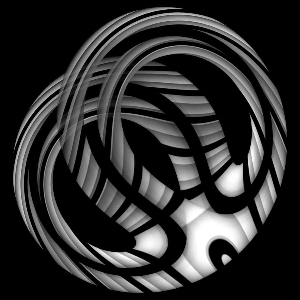 Dynamic Monochrome Curves by Mystic Number — canvas wall art