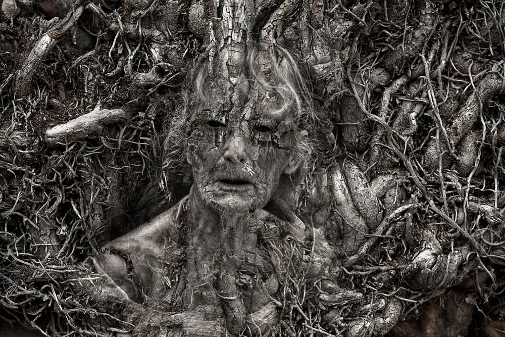 Ancient Tree Spirit by Martine Benezech — canvas wall art