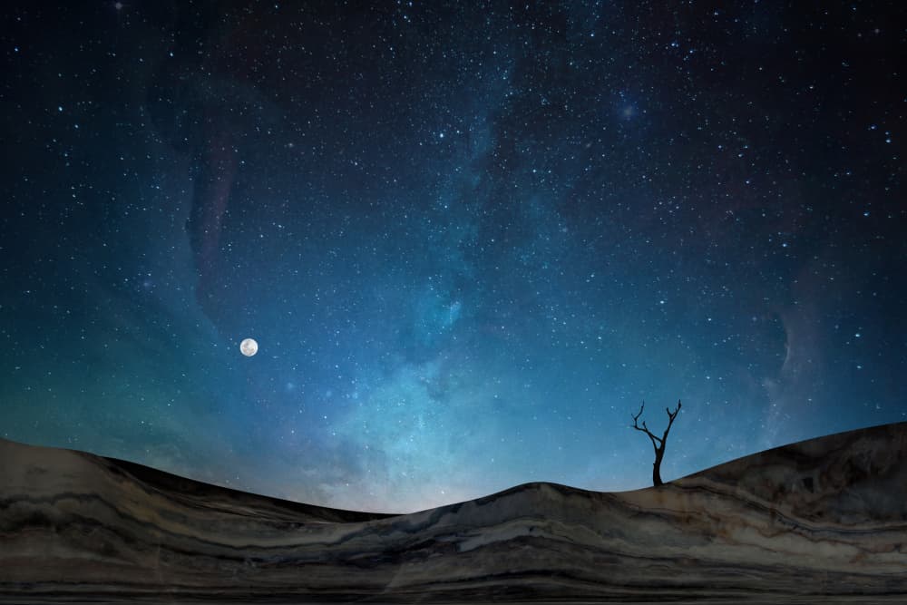 Starry Desert Night by amini54 — canvas wall art