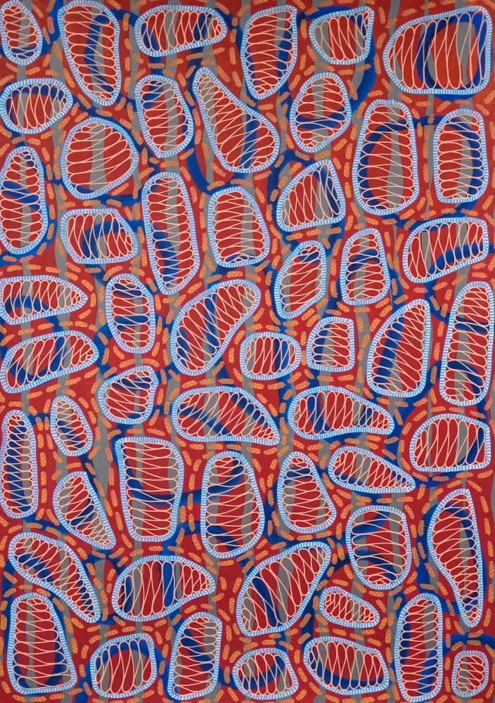Vibrant Organic Shapes by Naomi Vona — canvas wall art