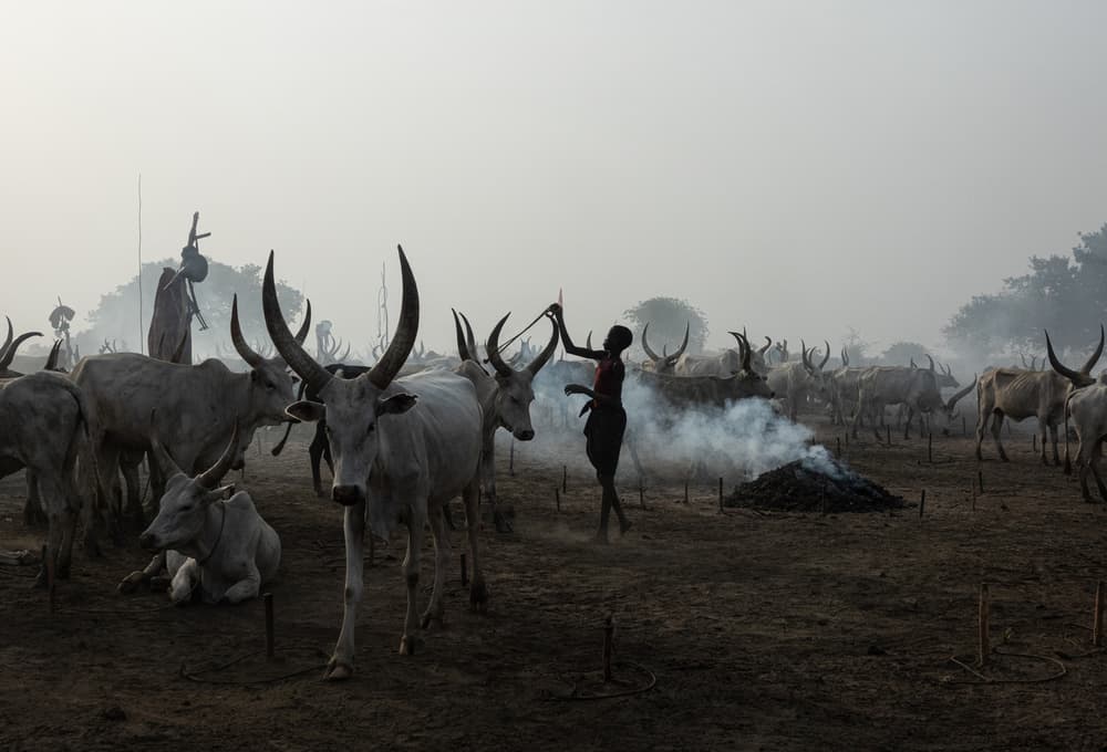 Dinka Cattle Camp by Elena Molina — canvas wall art