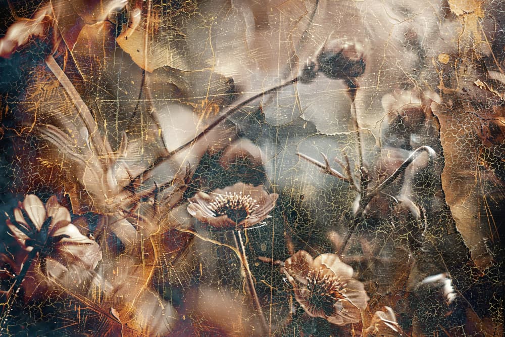 Distressed Golden Flowers by Rafal Kulik — canvas wall art