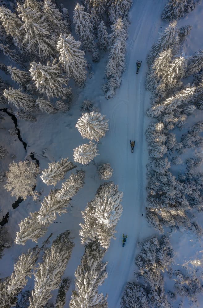 Snowy Forest Snowmobiles by Jure Kravanja — canvas wall art