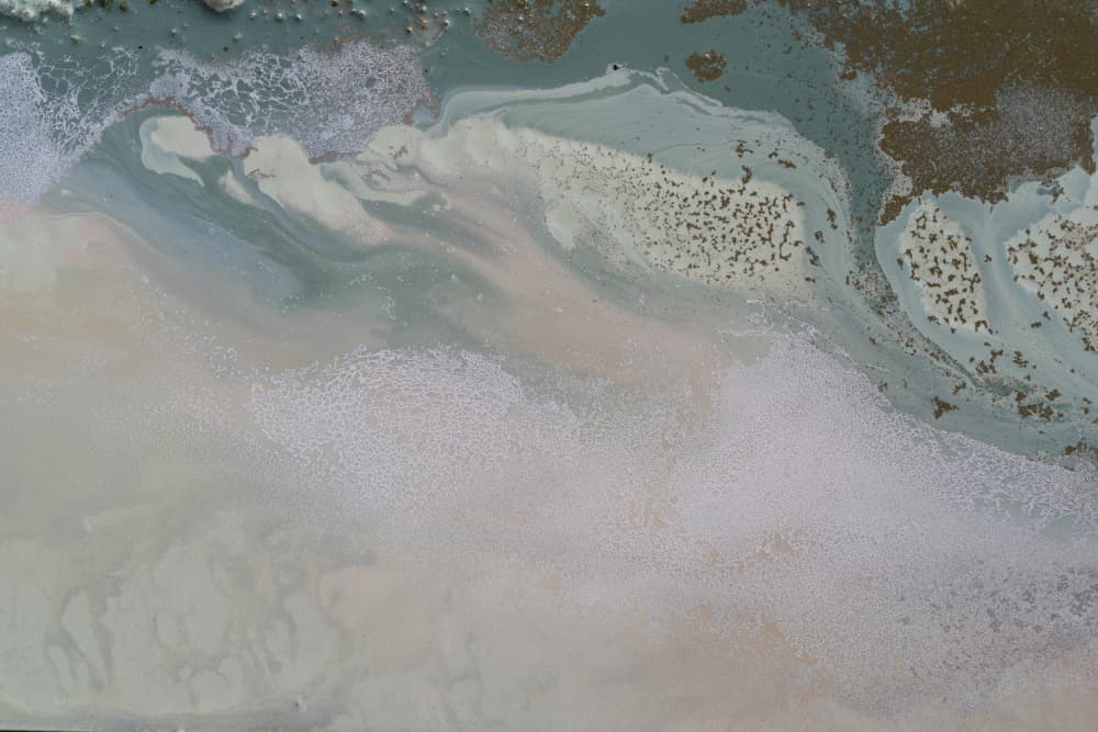 Path of Transformation by Petra Meikle de Vlas — canvas wall art