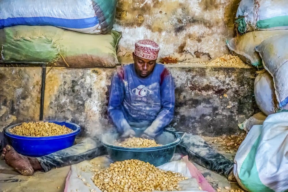 Man Sorting Nuts by Michel Groleau — canvas wall art