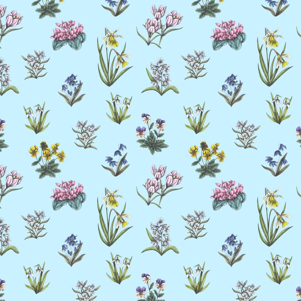 Spring Botanical Blooms by Cecilia Battaini — canvas wall art