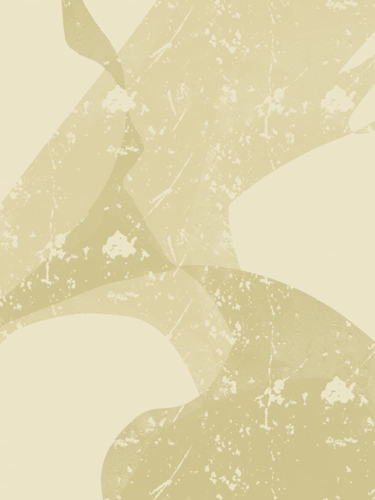 Muted Abstract Forms by Yuli Saputra — canvas wall art